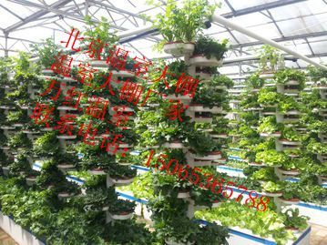 北京温室大棚建设-薄膜温室大棚-zoty中欧体育全站室厂家